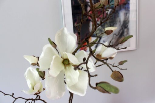 witte magnolia tak kunst