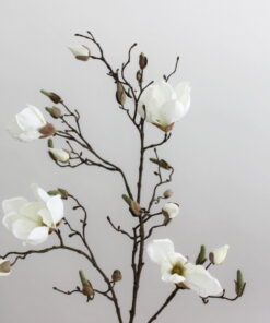 witte kunst magnoliatak