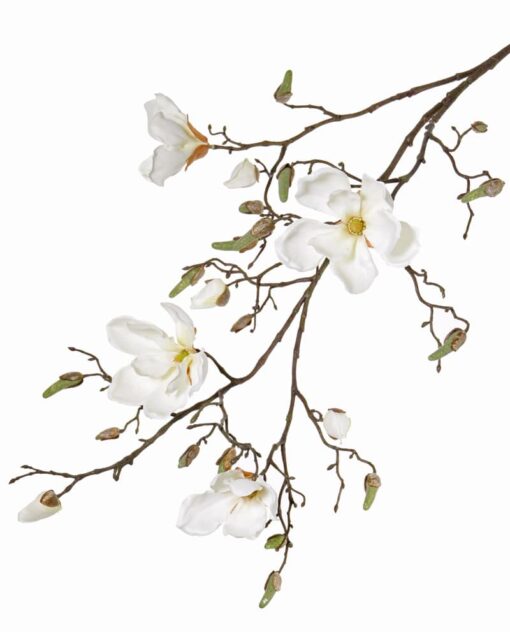 witte kunsttak magnolia