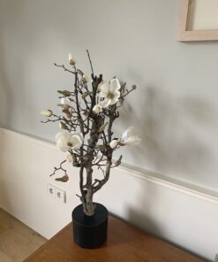 witte magnolia dikke tak magnolia tak magnolia takken kunst