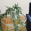 kunst hangplantje, groene hangplant voor binnen, plant in huis, nepplant, neppe plant