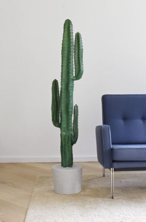 kunst cactus groot nep cactus in huis interieurboom kunstboom kunstplant duurzame binnen boom