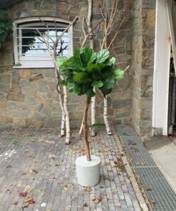 ficus lyrata kunstplant voor binnen binnen boom in huis kantoor boom kantoorboom