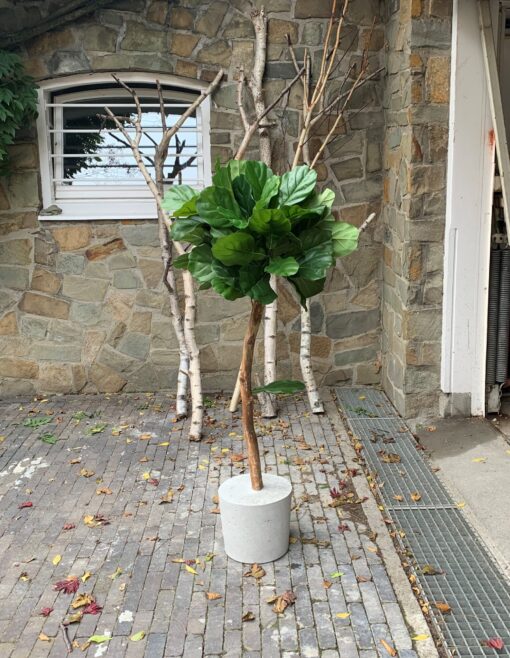ficus lyrata kunstplant voor binnen binnen boom in huis kantoor boom kantoorboom