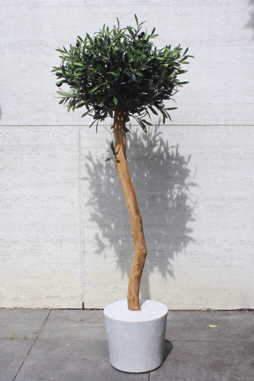 kunst olijfboom handgemaakte boom Boommade kunst olijfboompje olijfboom voor binnen binnenboom interieurboom