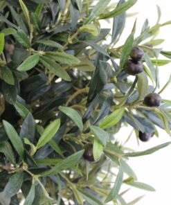 grote kunst olijfboom voor binnen neppe olijfboom kunstboom in huis duurzame kunstbomen kopen kunst olijfboompje boommade