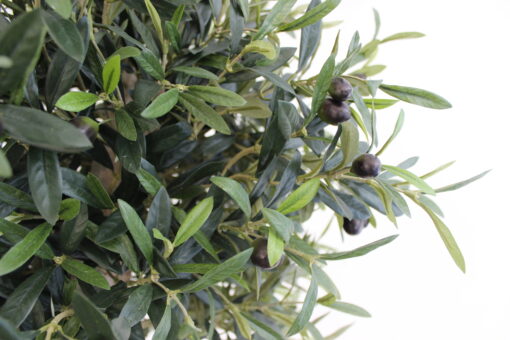 grote kunst olijfboom voor binnen neppe olijfboom kunstboom in huis duurzame kunstbomen kopen kunst olijfboompje boommade