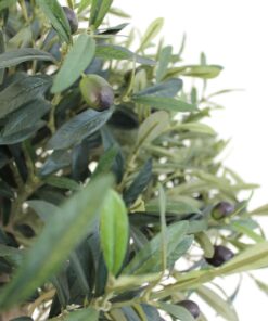 op maat gemaakte kunstboom grote kunst olijfboom voor binnen neppe olijfboom kunstboom in huis duurzame kunstbomen kopen kunst olijfboompje boommade