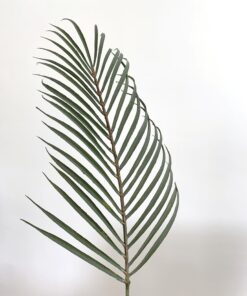 kunst palmblad groen kunst blad