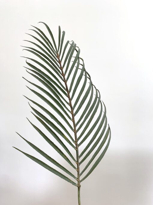 kunst palmblad groen kunst blad