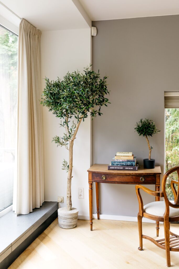 grote kunst olijfboom binnen boom in huis kantoorboom