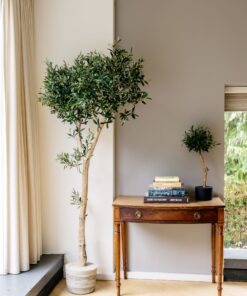 kunst olijfboom binnen kopen kunstboom in huis binnenboom
