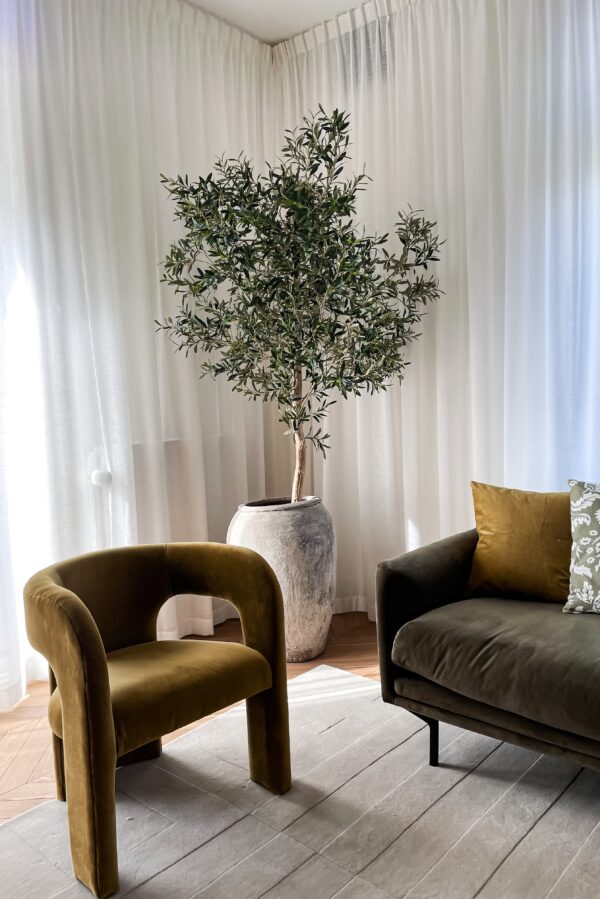 kunst olijfboom binnen olijfboom in huis olijfboom woonkamer binnen boom boom voor in huis grote olijfboom