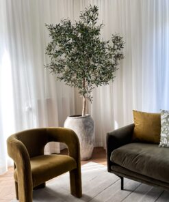 kunst olijfboom binnen olijfboom in huis olijfboom woonkamer binnen boom boom voor in huis grote olijfboom boom in huis