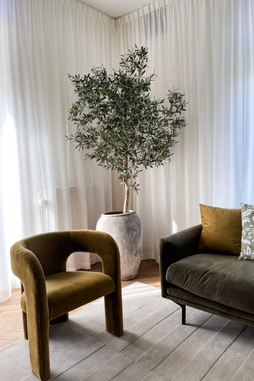 kunst olijfboom binnen olijfboom in huis olijfboom woonkamer binnen boom boom voor in huis grote olijfboom boom in huis