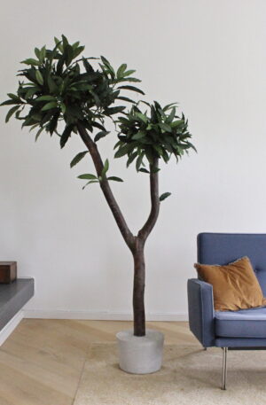 kunstboom binnen kunst boom groen mango blad echte stam