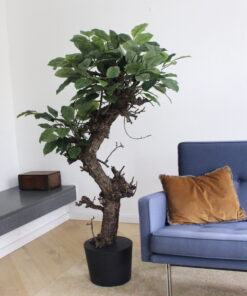 kunstboom in pot boom in interieur kunstbomen binnen kunstboom woonkamer