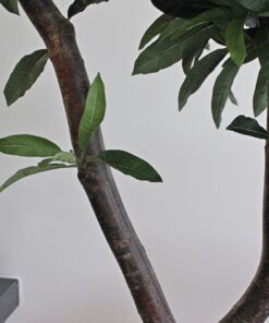 mango blad binnen boom groot kunstboom binnen