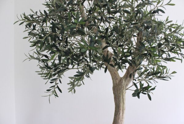 olijfblad kunst kunst takken olijf olijftakken kopen kunst olijfbomen voor binnen