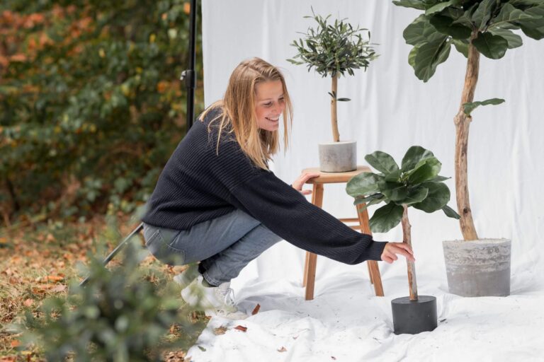 sophie boommade kunstboom kopen kunstboom binnen groot